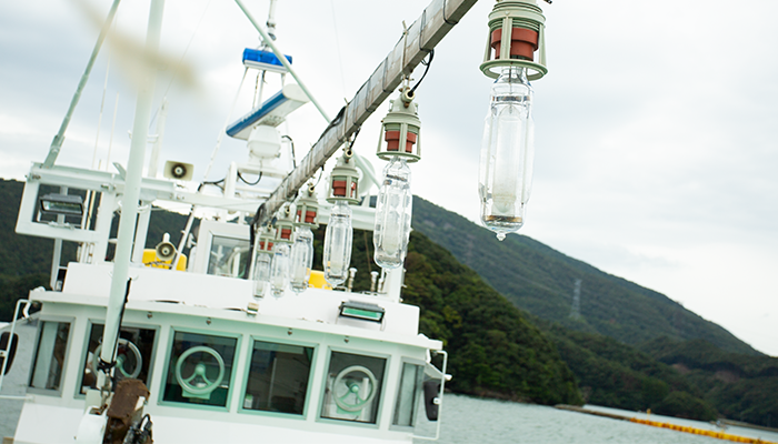 漁船　釣り船　お探しの方　売約済み！ありがとうございました。 2025年度 遊漁船営業終了のお知らせ | 釣り船 宮内旅館 くない | 福井